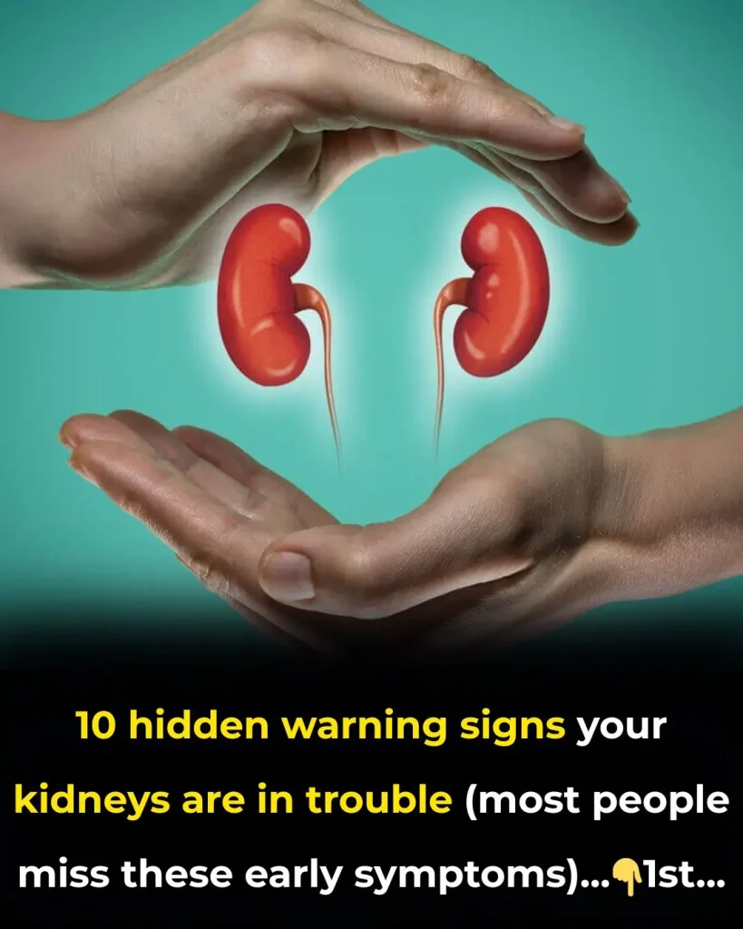800-million-affected-10-kidney-warning-signs-most–cover 800-million-affected-10-kidney-warning-signs-most- cover
