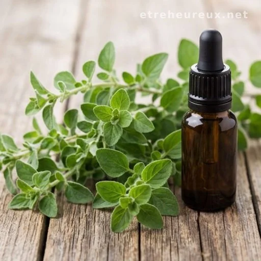 Fresh oregano sprigs beside a small dropper bottle of concentrated herbal extract