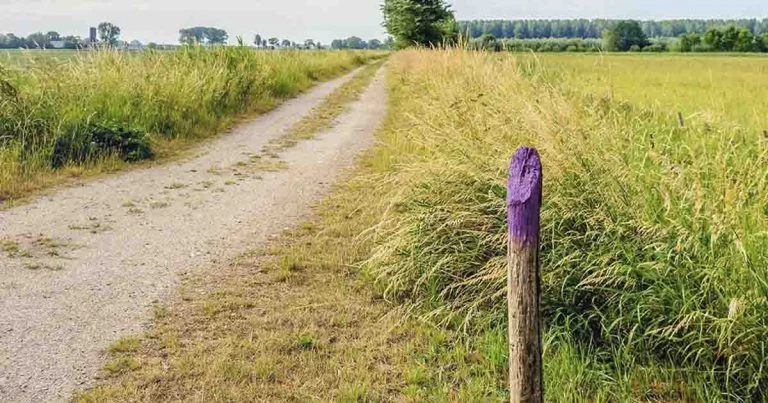 purple-paint-on-a-fence-means-no-trespassing-and-i cover