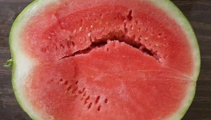 cracked-watermelon-inside-when-to-eat-it-and-when- cover