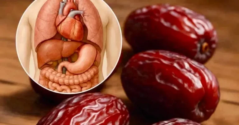 eating-3-dates-a-day-what-nutrition-science-actual cover