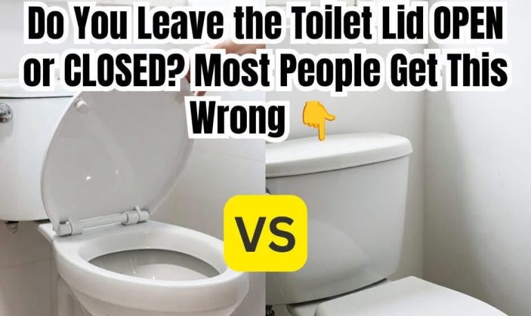 toilet-lid-up-or-down-what-the-science-says-about- cover