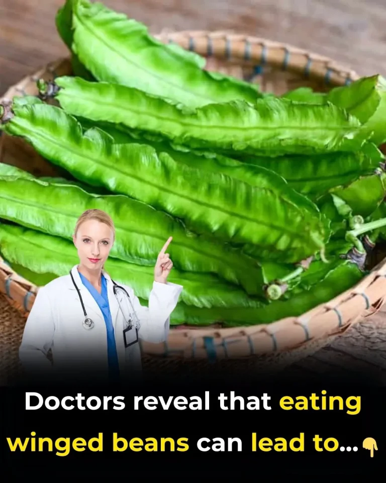 winged-beans-the-low-calorie-legume-packed-with-vi cover